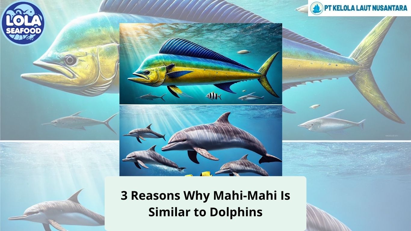 3 Reasons Why Mahi-Mahi Is Similar to Dolphins